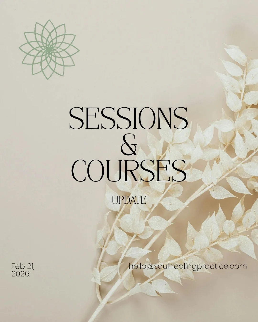 🌿 A gentle update from my heart to yours 🌿
 Due to relocation, I will not be offering in-person healing sessions for the time being.
 If you are one of my regular clients and feel you need support, please email me at
hello@soulhealingpractice.com
 