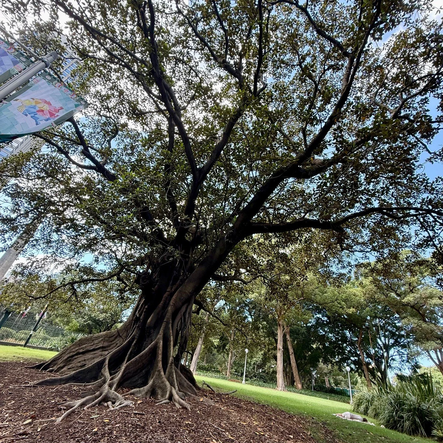 &ldquo;I&rsquo;ve shared something very personal&hellip;
a part of my journey that I&rsquo;ve never fully put into words before.
If you&rsquo;ve ever felt different, lost, or disconnected from yourself&mdash;this is for you.
You can read it here 💫&r