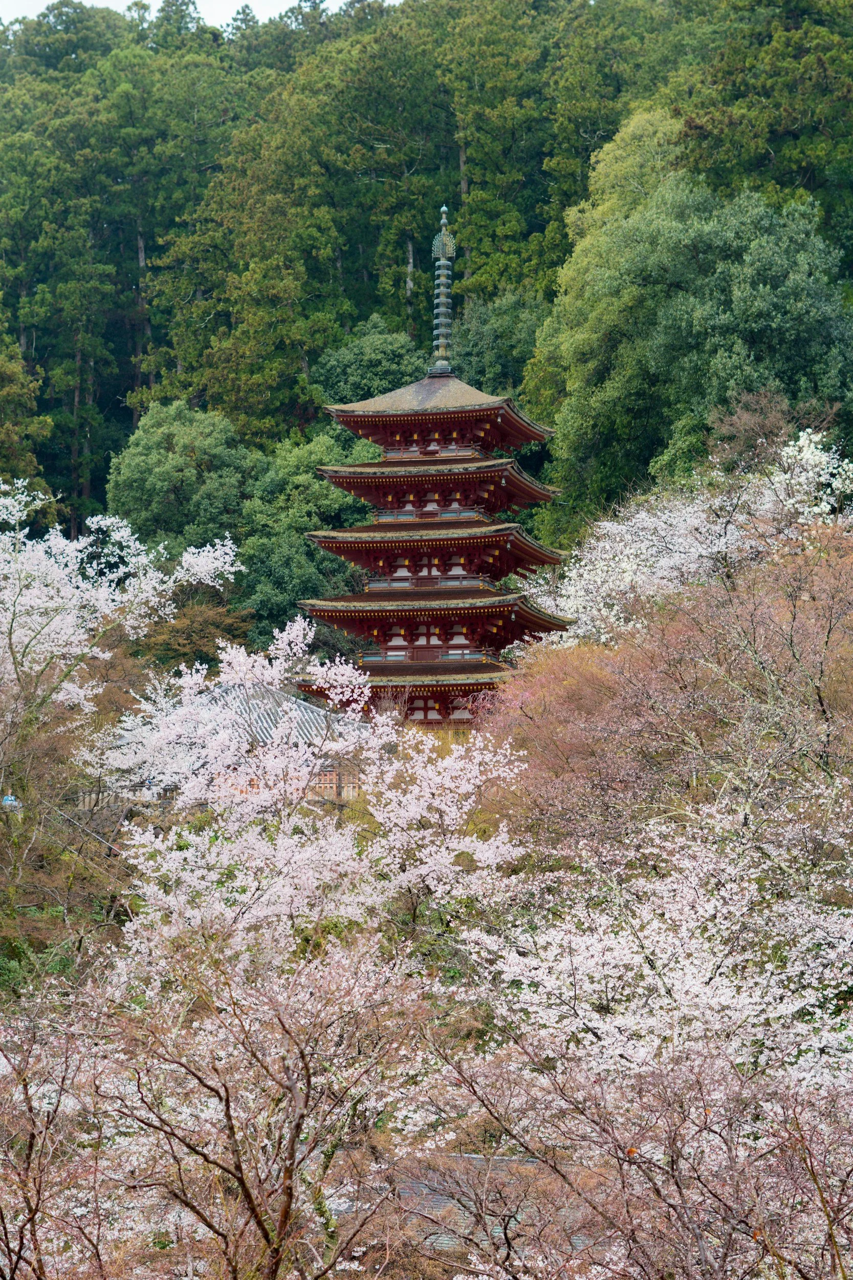 Is Traditional Japanese Reiki Based on the Seven Chakras?
