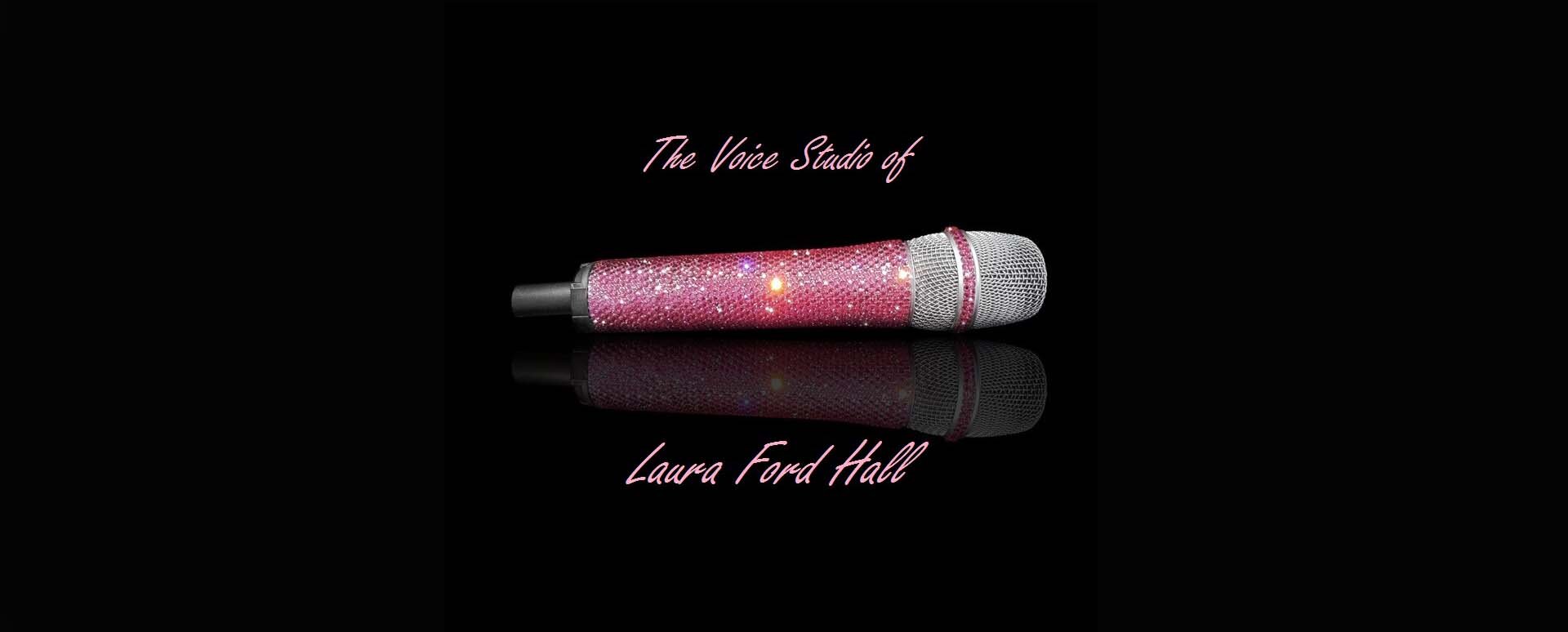 Voice Studio Logo Long.jpg