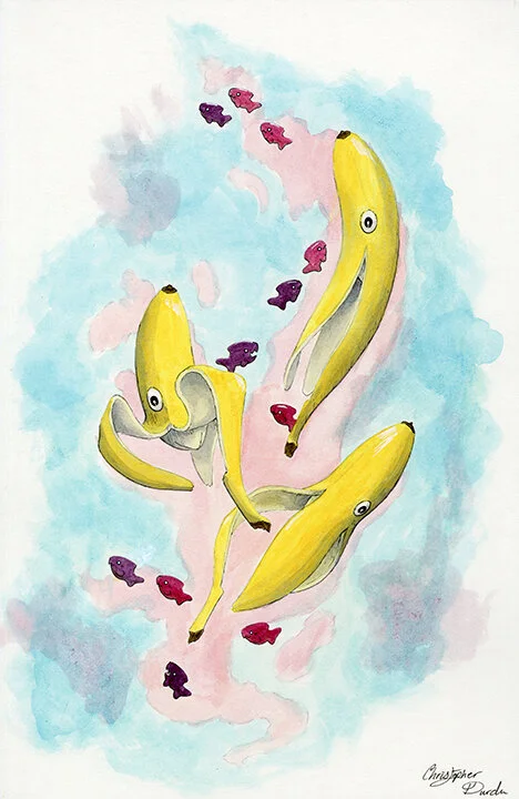 WC Durdle Bannana Squid.jpg