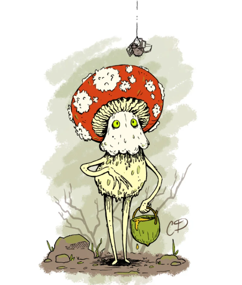 Fly Agaric