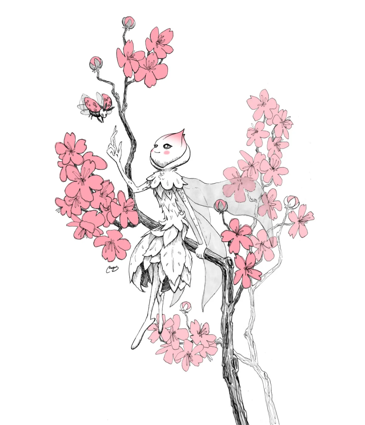  See more under Illustration 