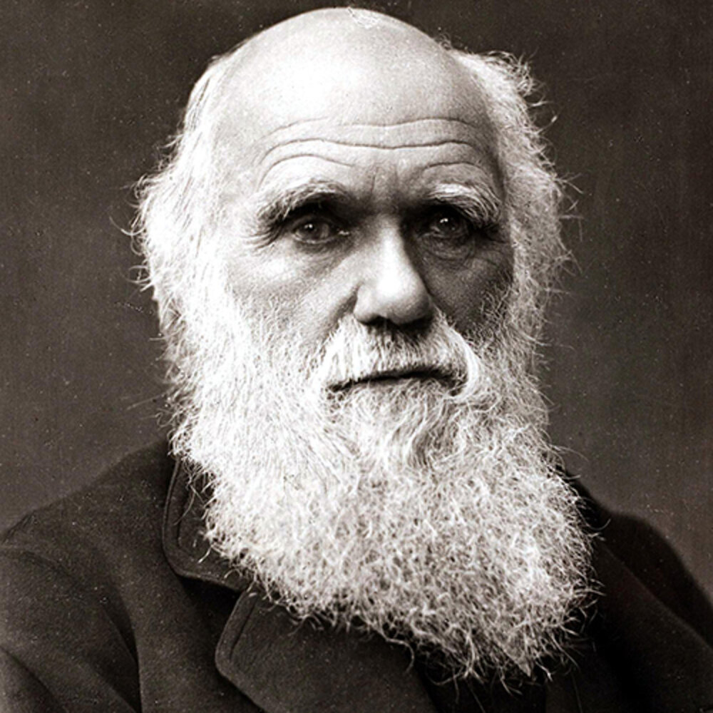 darwin.jpeg