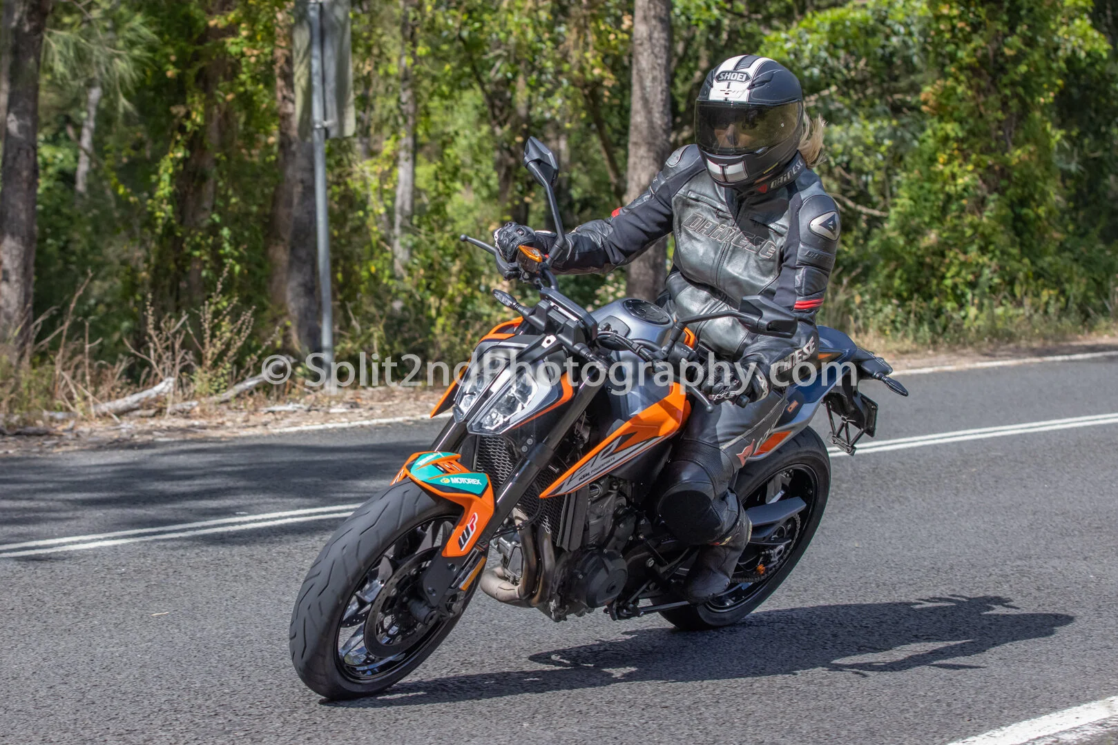 Mt Glorious-0911.jpg