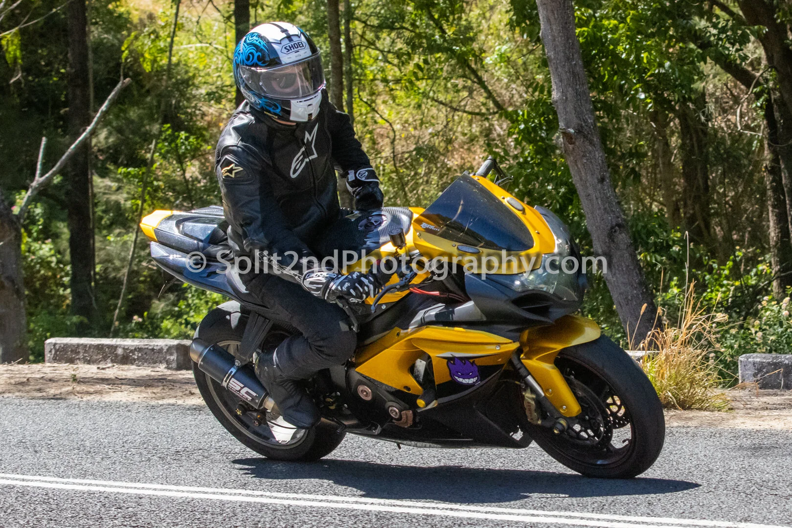 Mt Glorious-1168.jpg