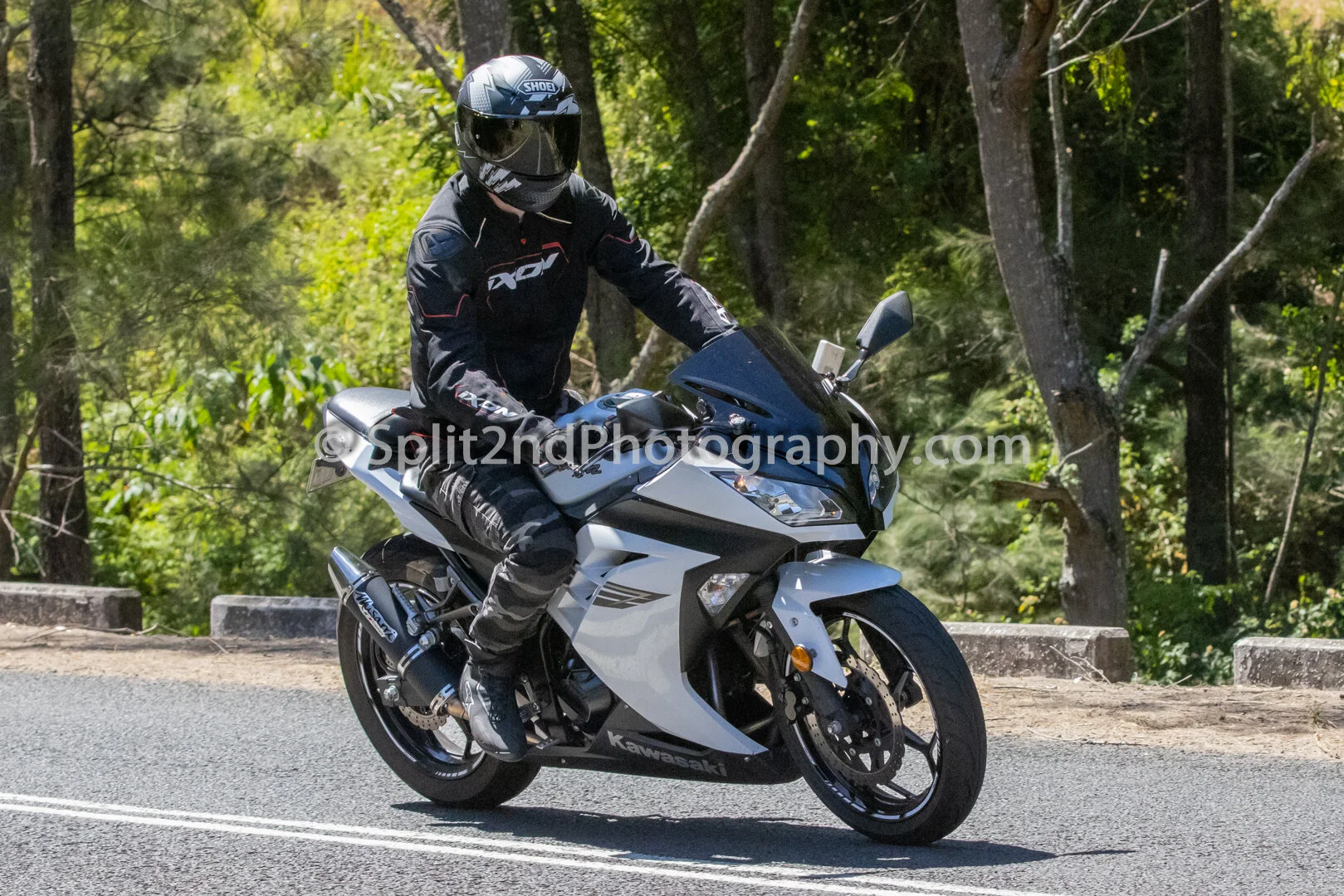 Mt Glorious-1288.jpg