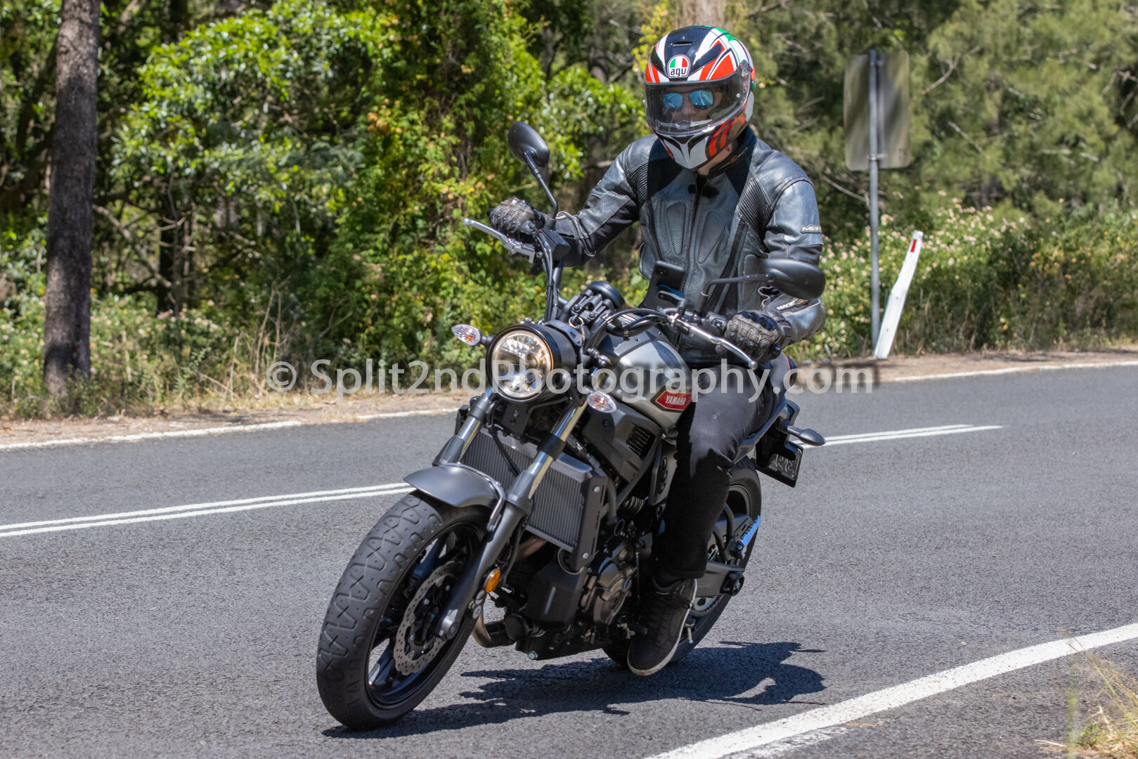 Mt Glorious-1298.jpg