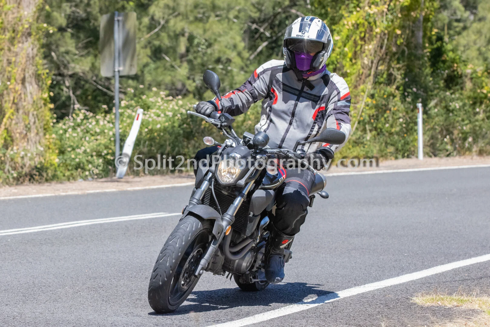 Mt Glorious-1300.jpg