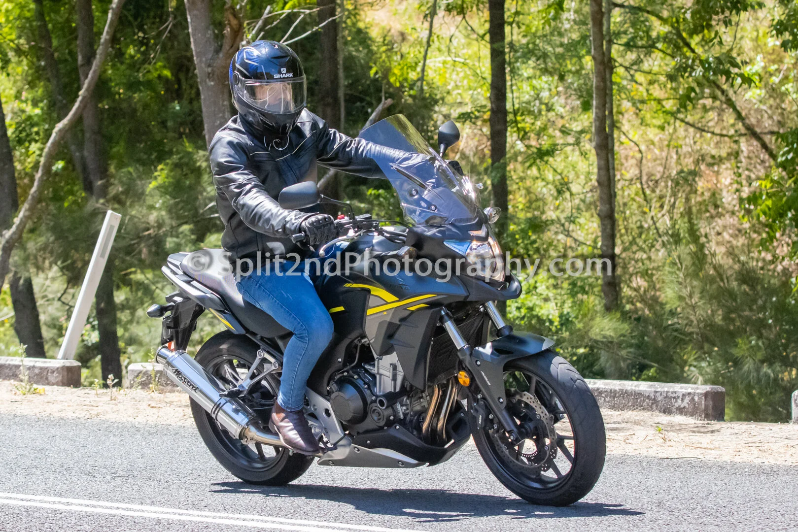 Mt Glorious-1325.jpg