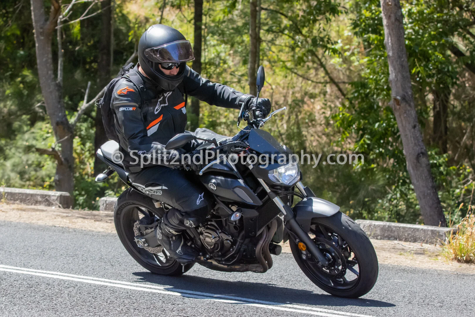 Mt Glorious-1364.jpg