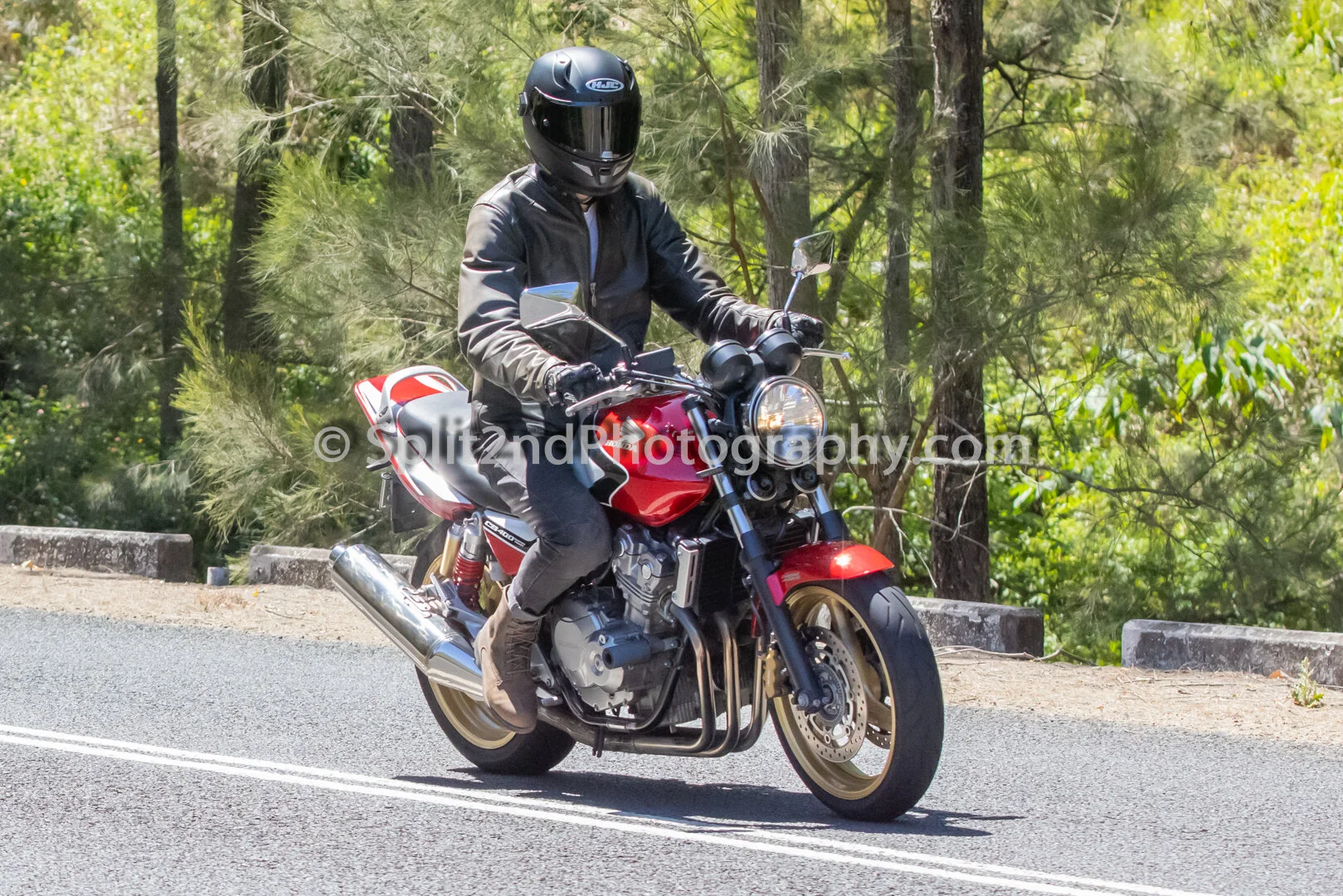 Mt Glorious-1381.jpg