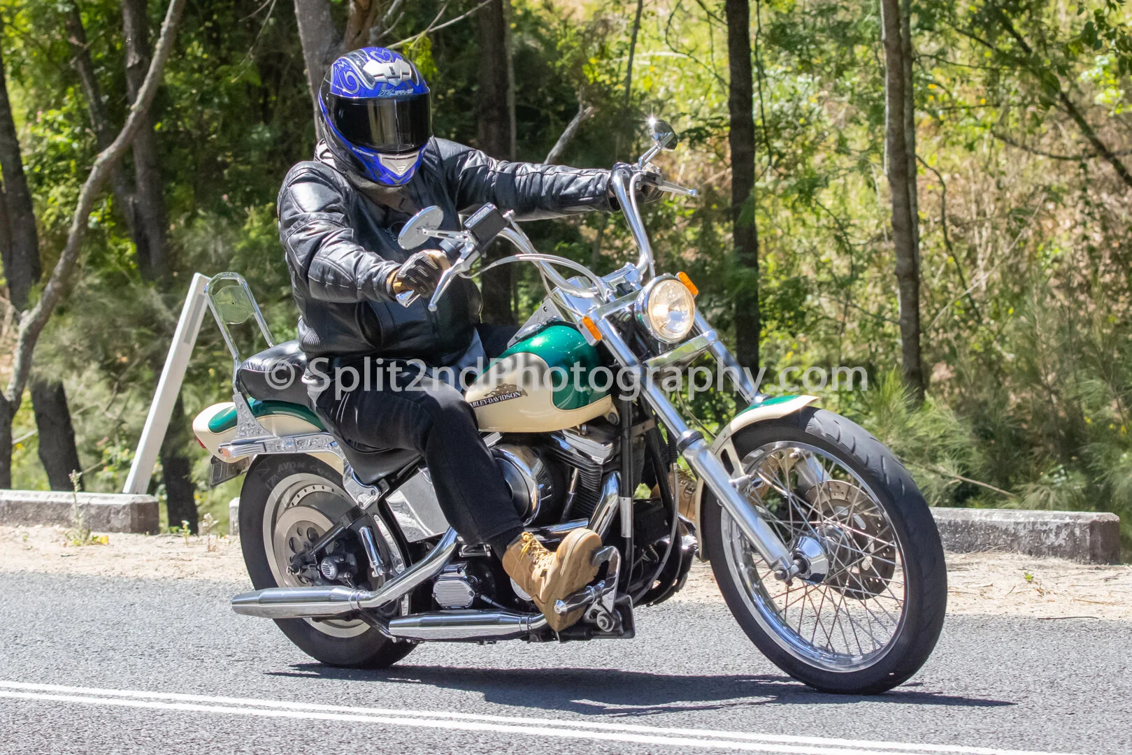 Mt Glorious-1412.jpg