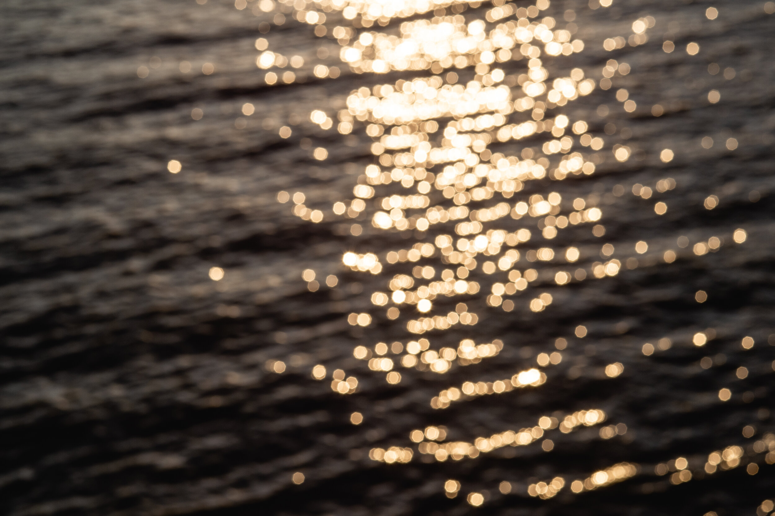 DSC_8482.jpg