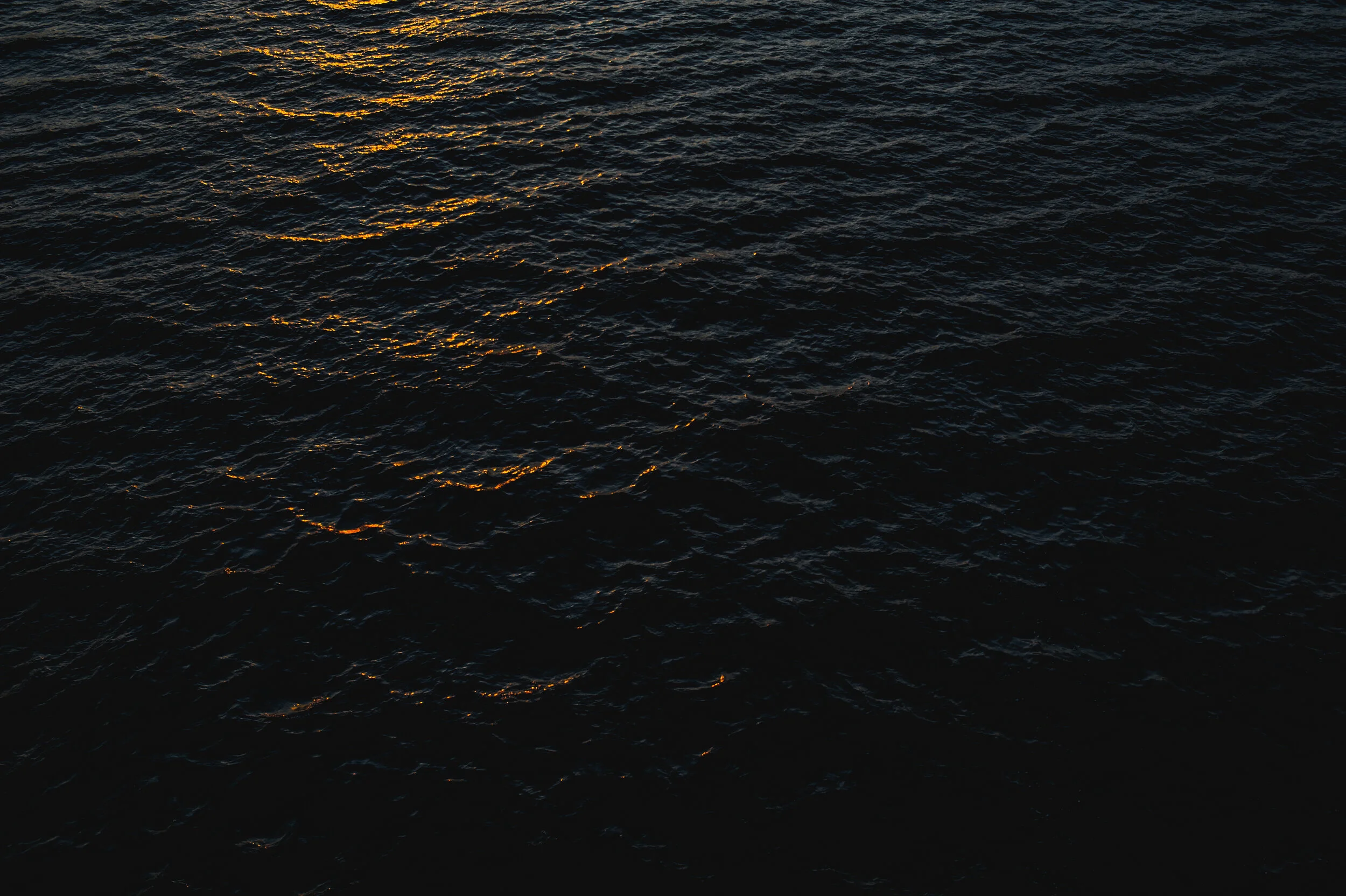 DSC_8697.jpg