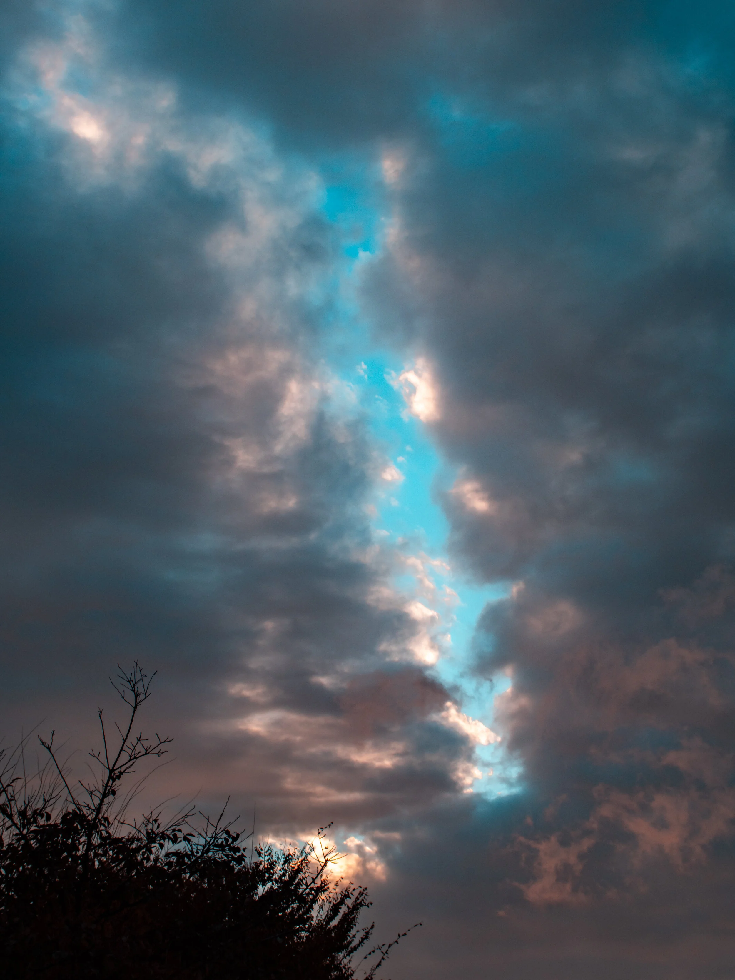 PA280350.jpg