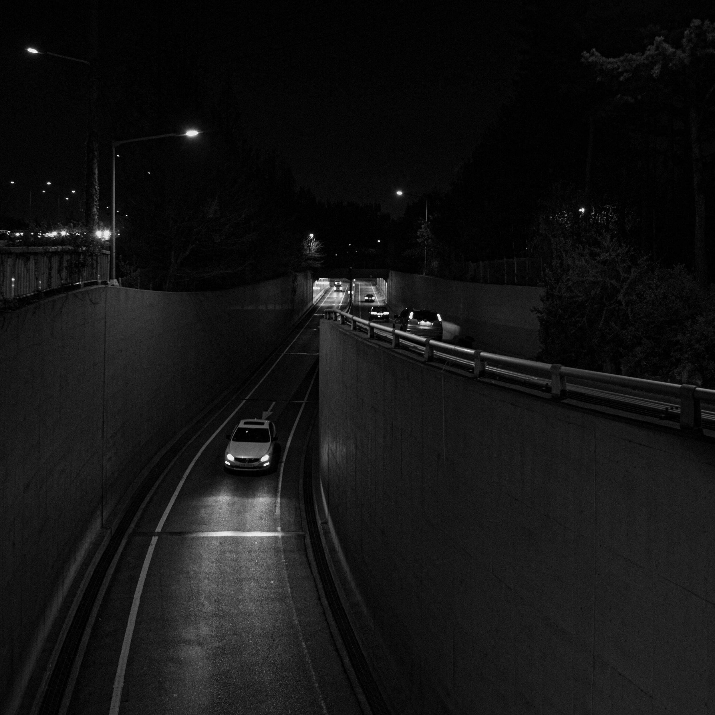 DSC_0835.jpg