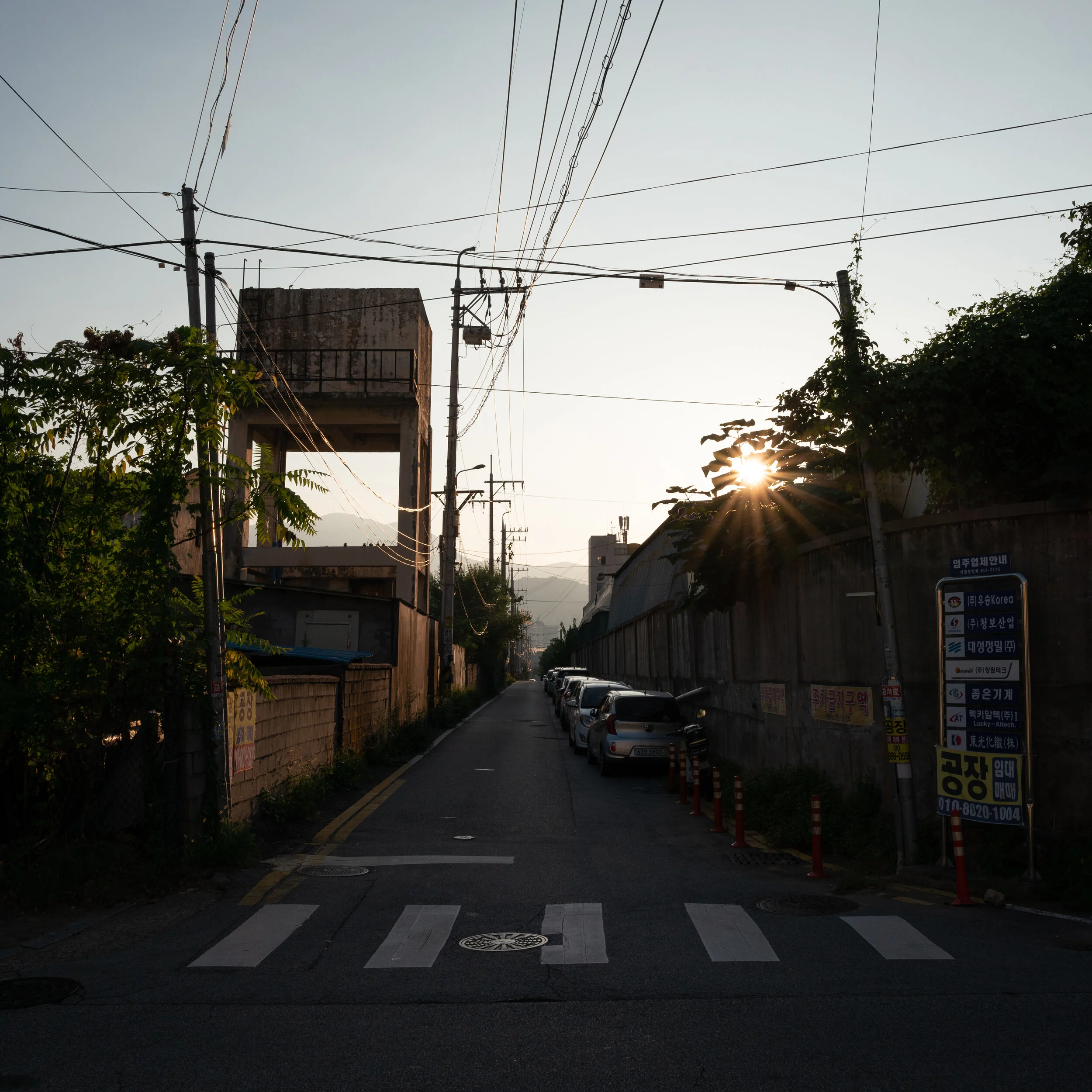 L1030217.jpg