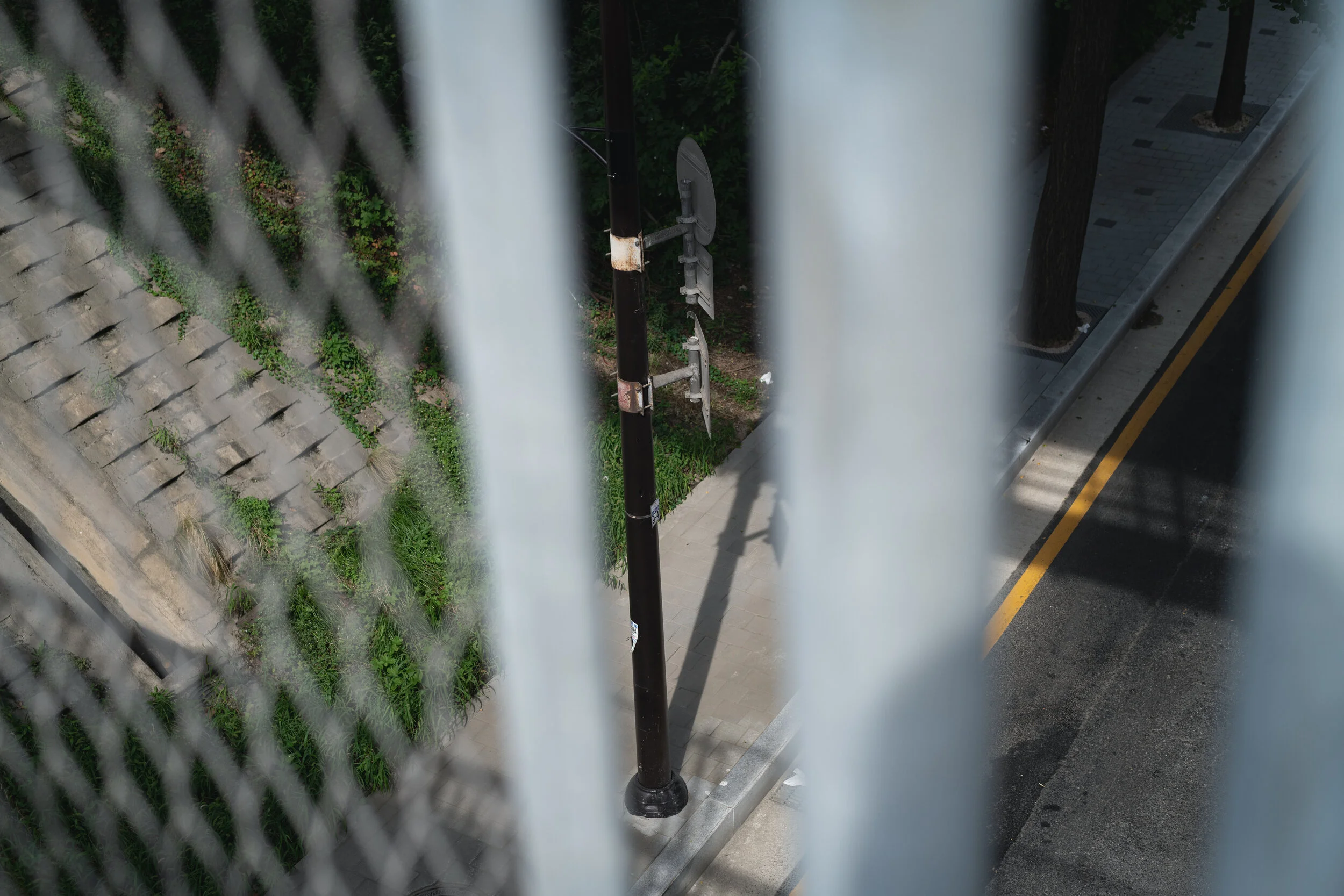 DSC_6141.jpg