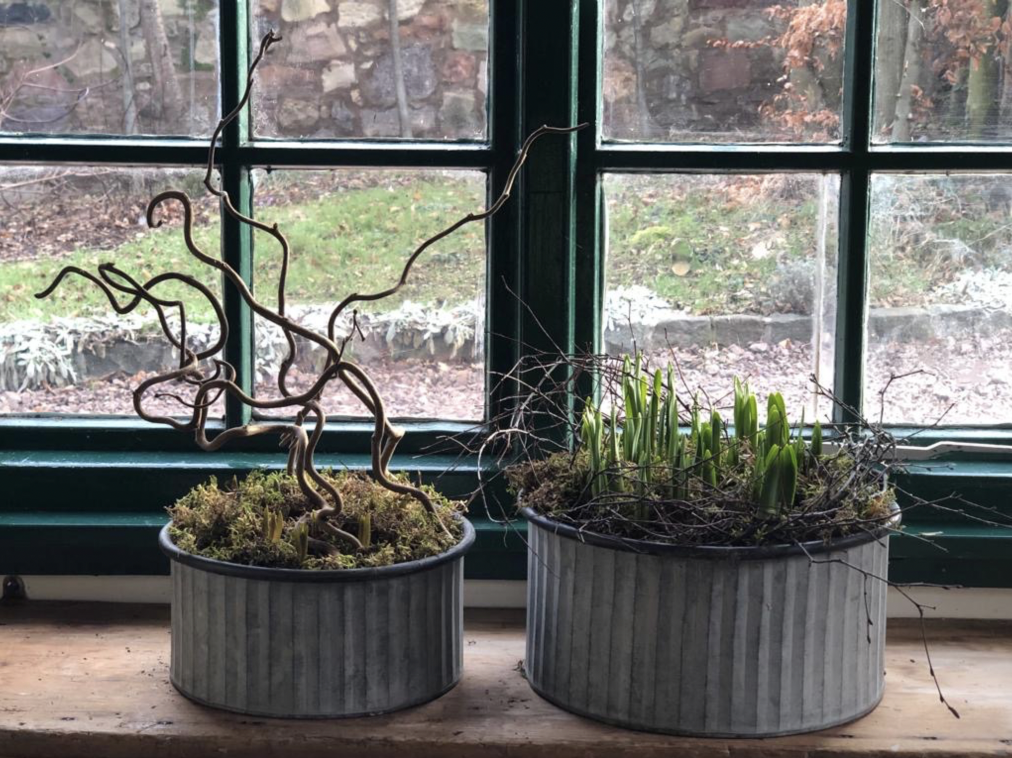 Screenshot 2025-01-11 at 12.30.14.png