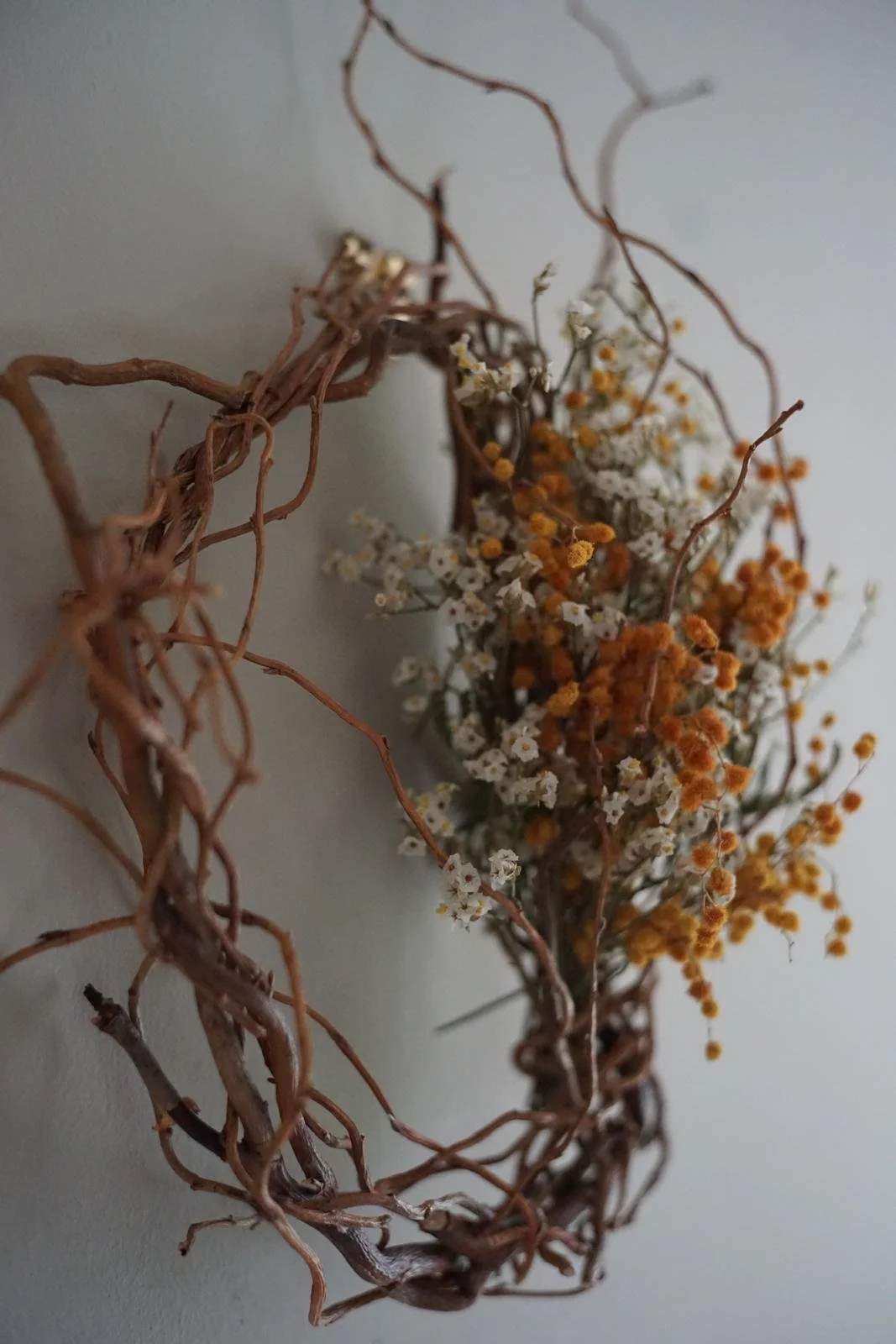 PHOTO-2024-08-19-15-53-48 2.jpg