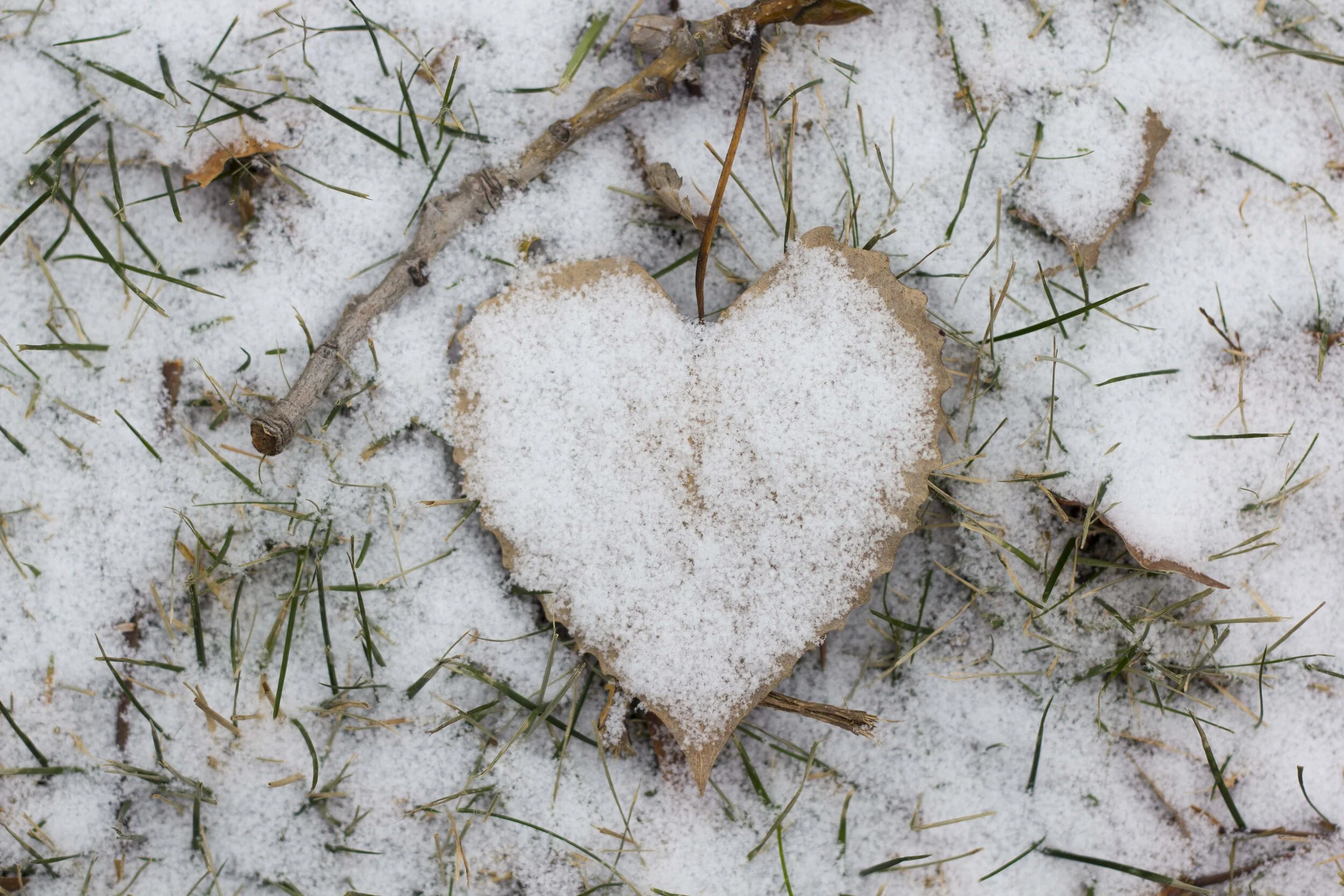 Snow Heart_1.JPG