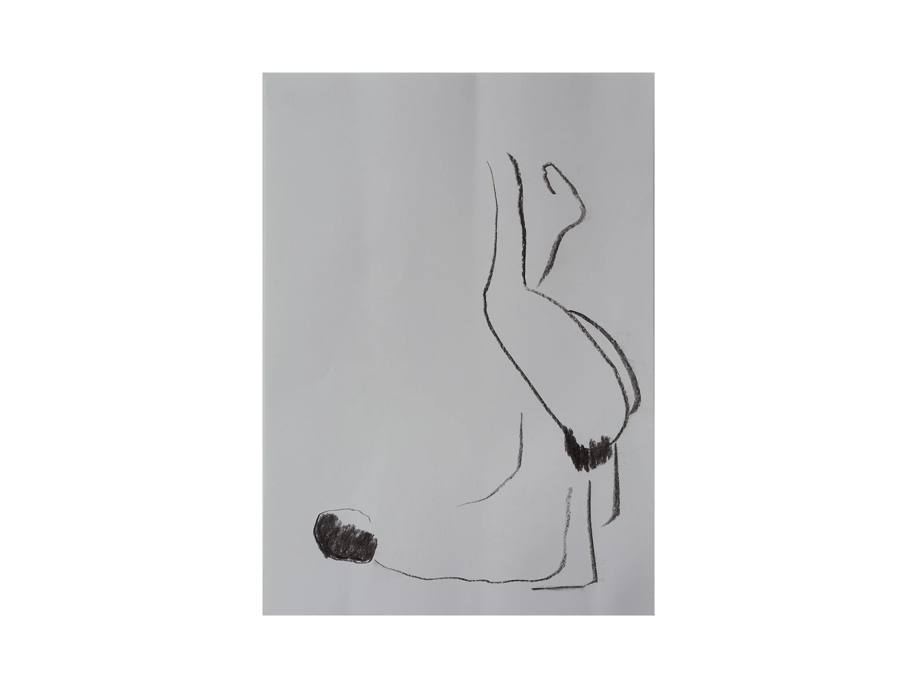 untitled, 2025, charcoal on paper, 29.5 x 42 cm