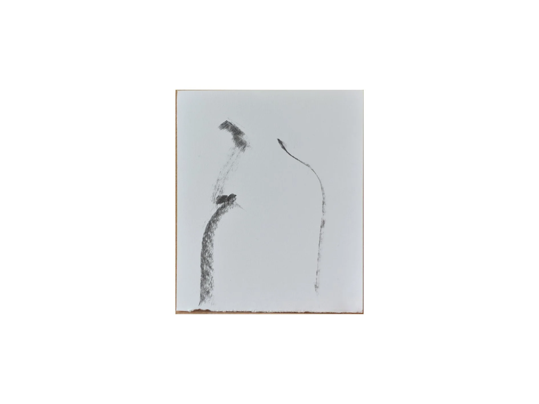untitled, 2026, coal on paper, 10 cm x 15 cm
