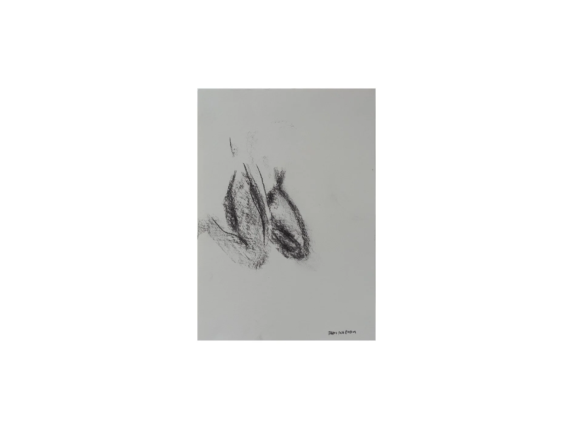 untitled, 2024, coal on paper, 10 cm x 15 cm