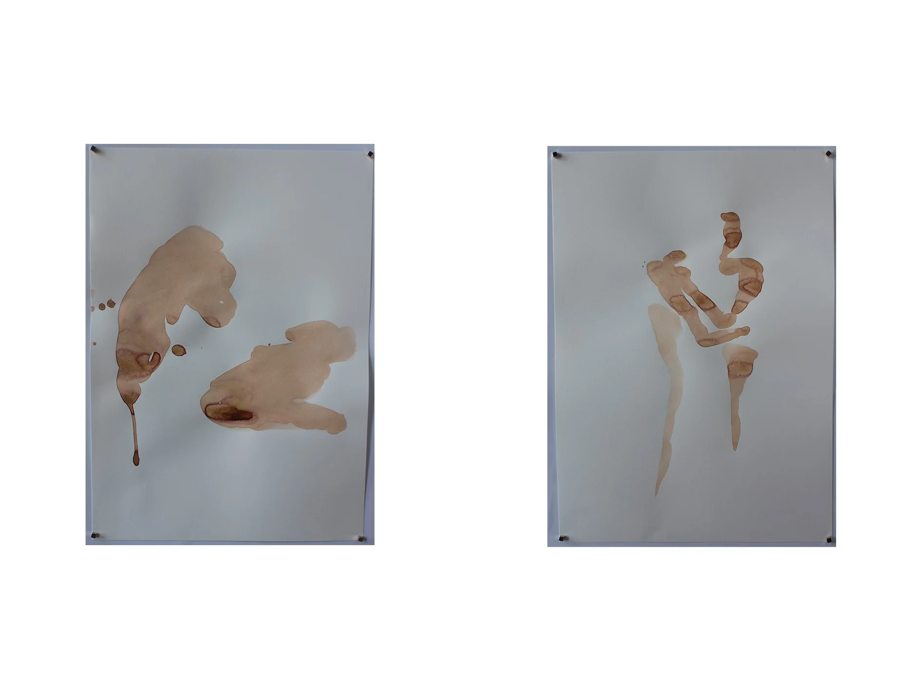 zygote, 2026, gouache and water on paper, 29.7 cm x 42 cm