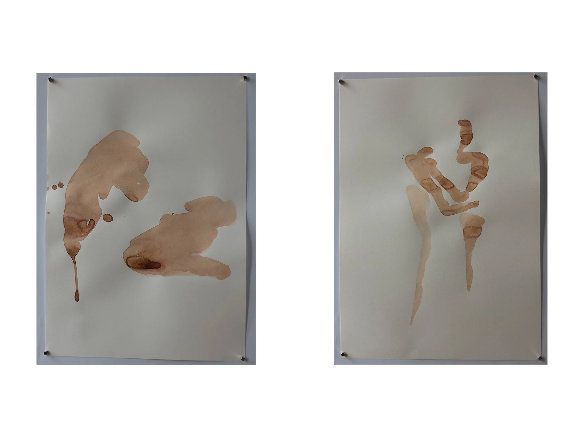 zygote, 2026, gouache and water on paper, 29.7 x 42 cm