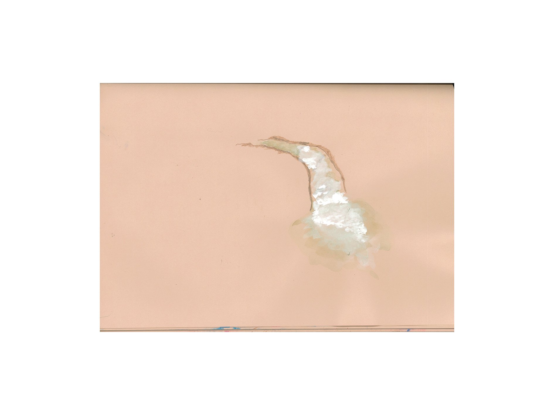 untitled, 2026, colour pencil gouache and water on paper, 21 x 29.7 cm