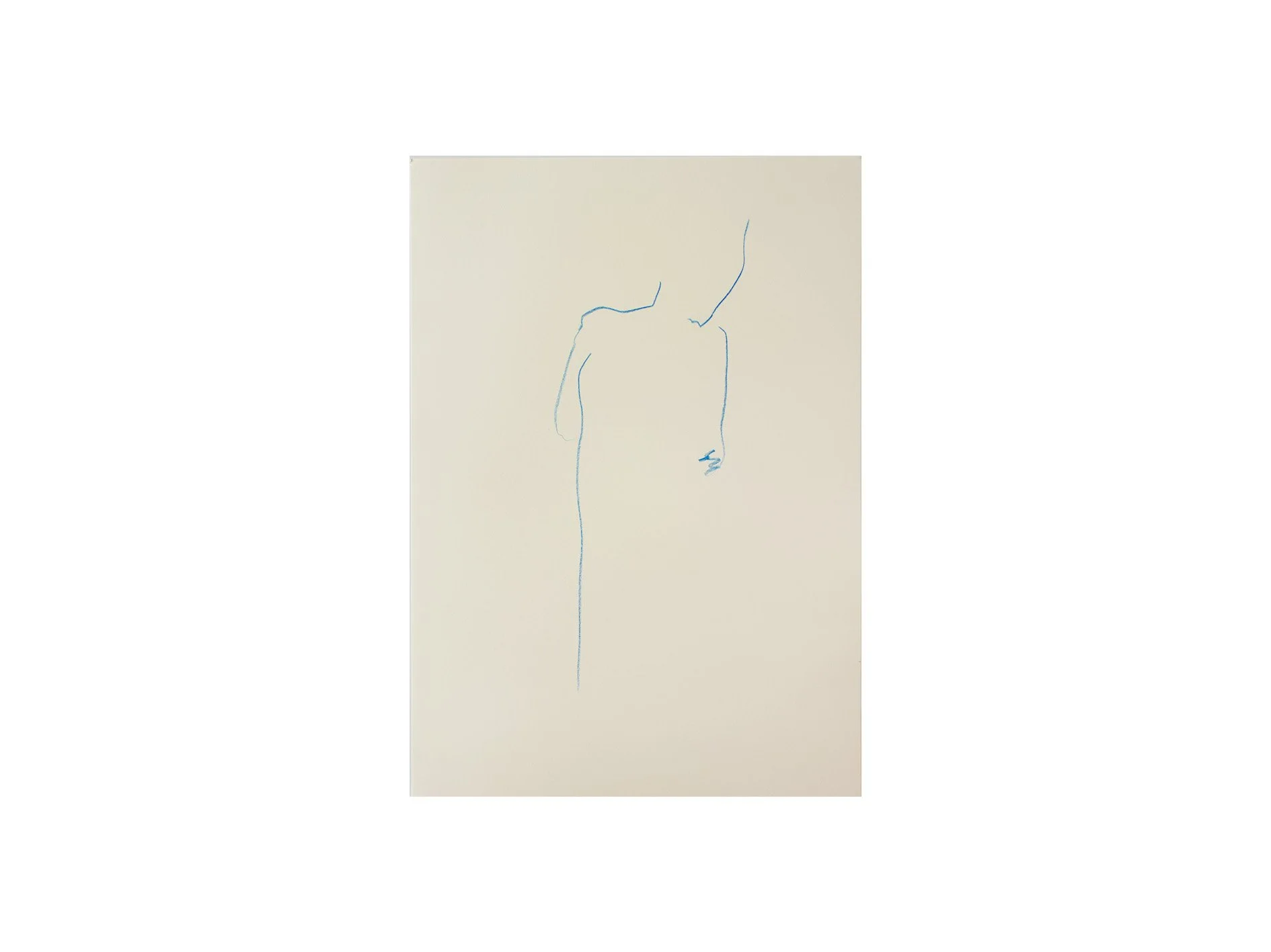 untitled, 2026, color pencil on paper, 30 x 40 cm
