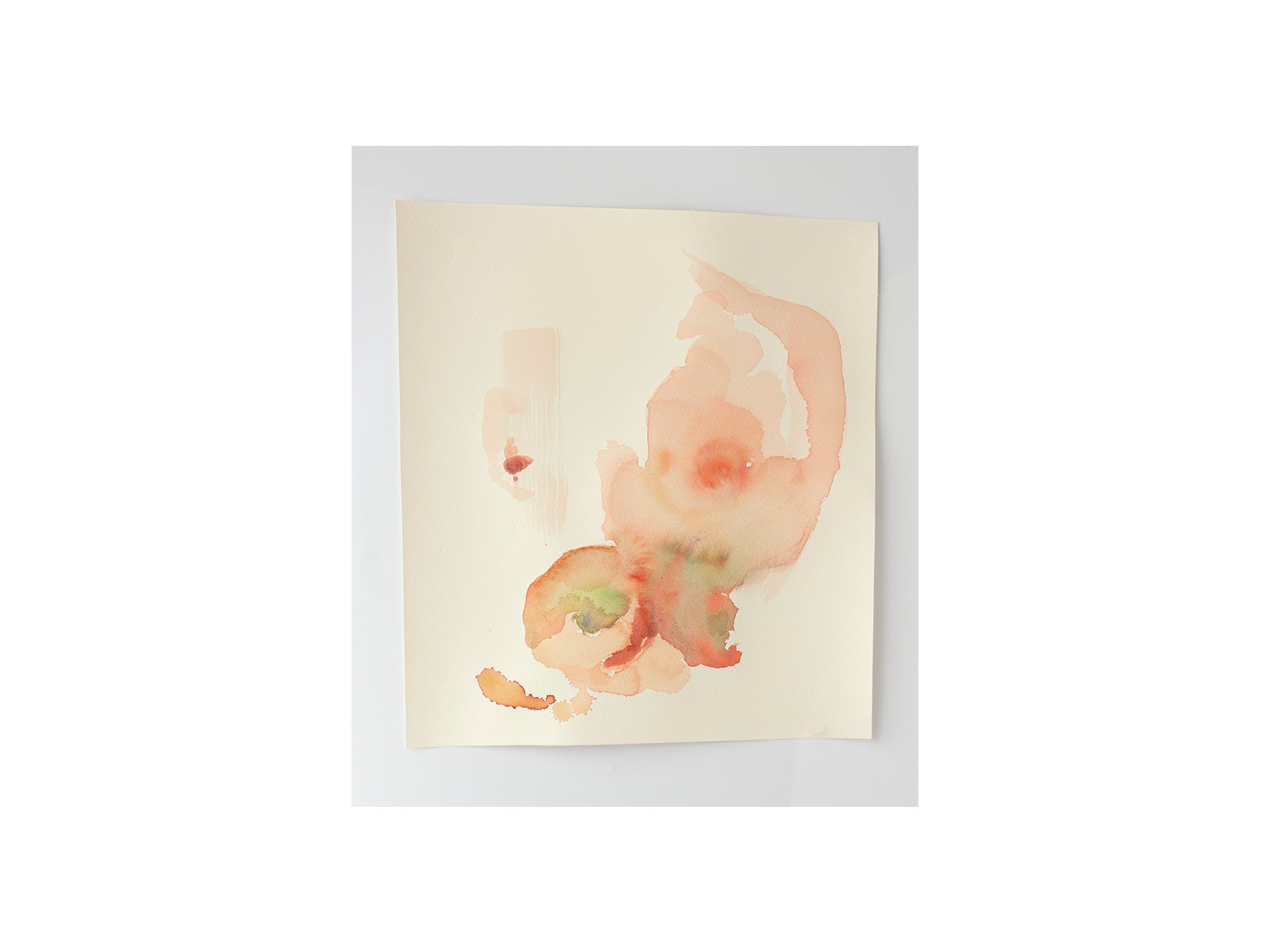 untitled, 2026, gouache and water on paper, 32 x 38 cm
