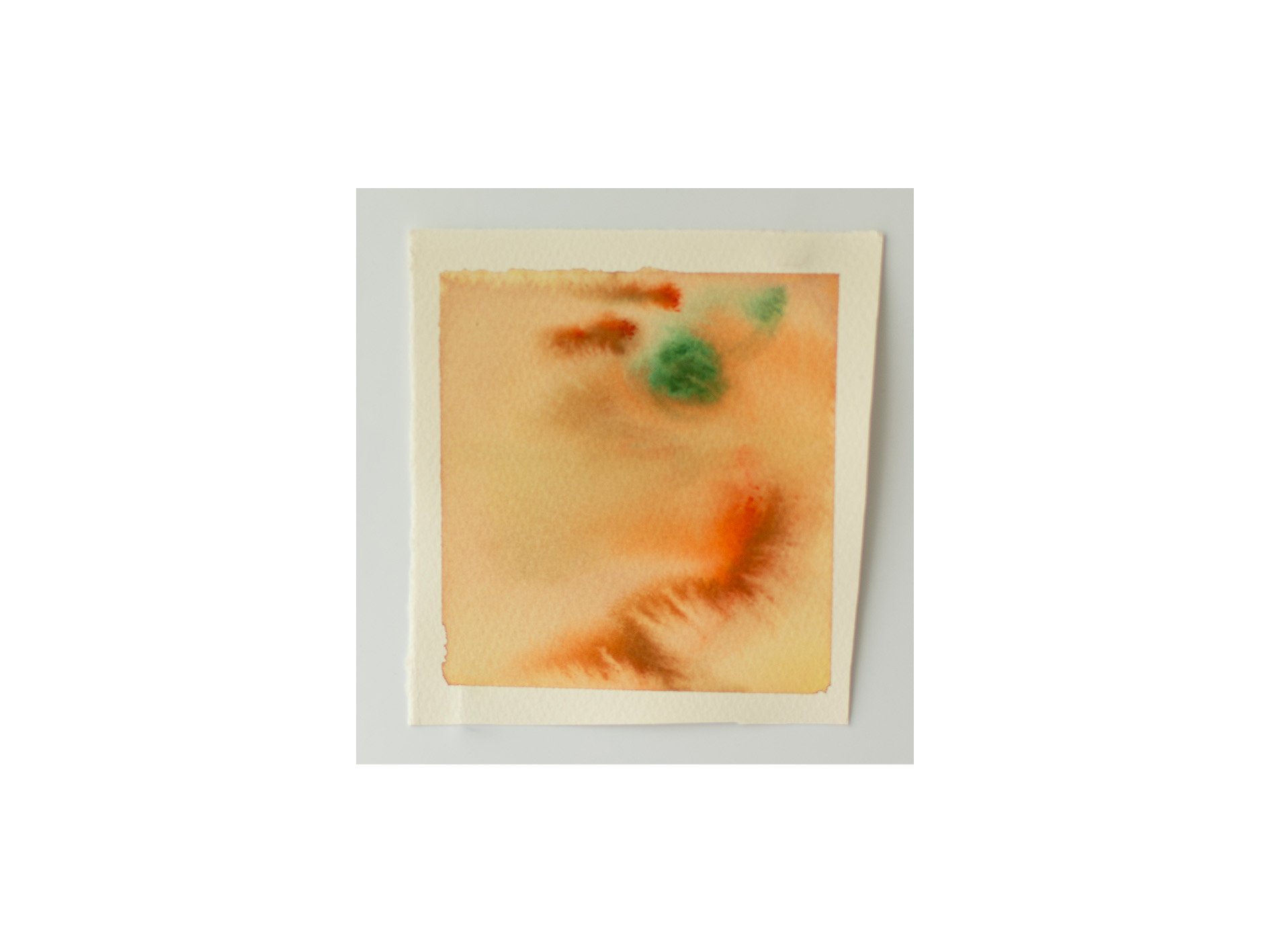 paprika, 2026, gouache and water on paper, 15 x 17 cm