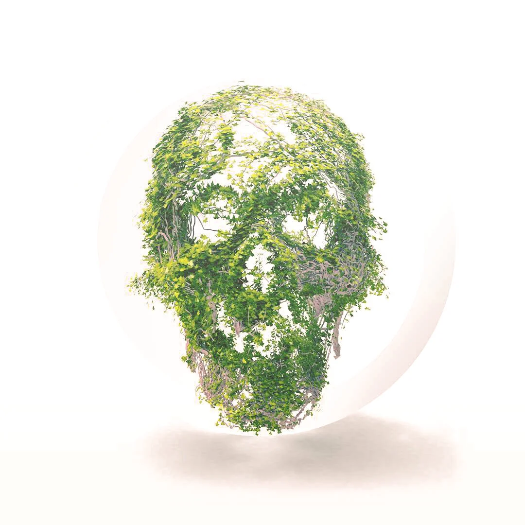 vine skull3.jpg