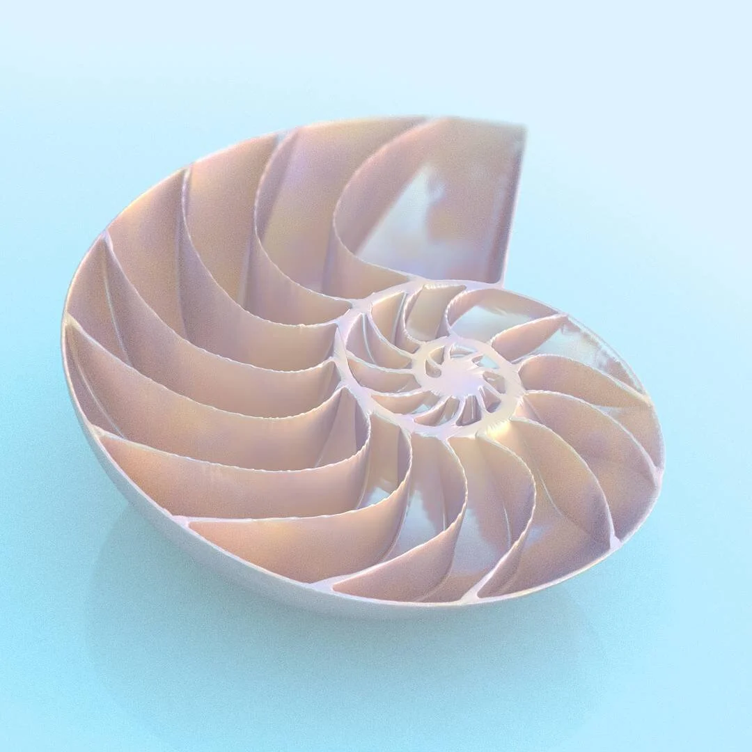 31556965_226661108099377_8601721584283025408_n.jpg