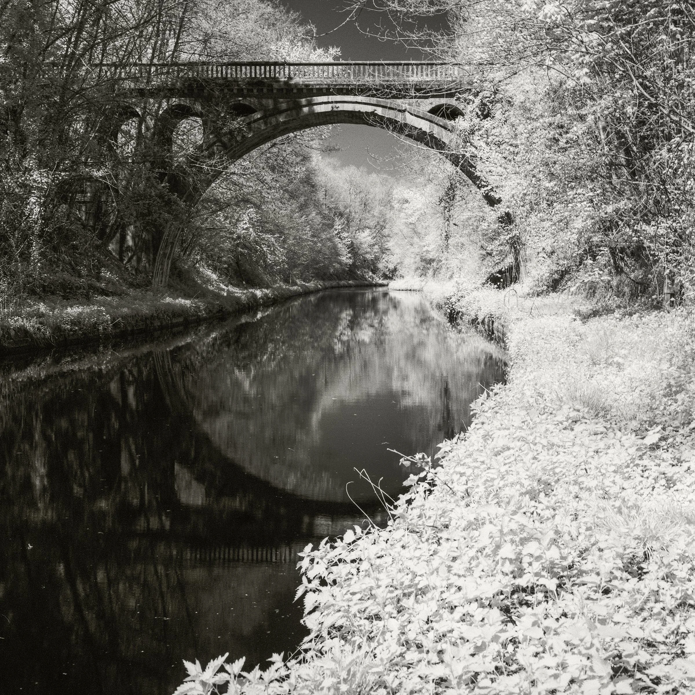 riquerval bridge 1.jpg