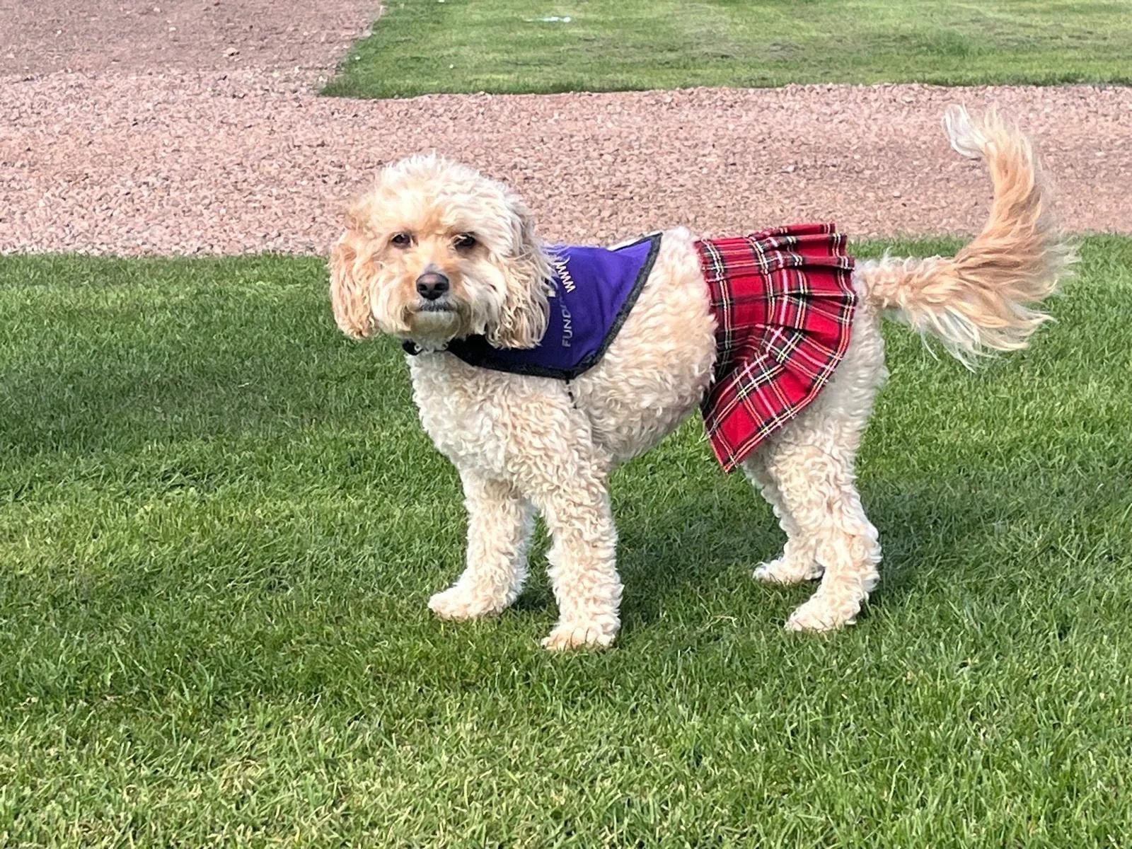 Glasgow Kiltwalk 2026