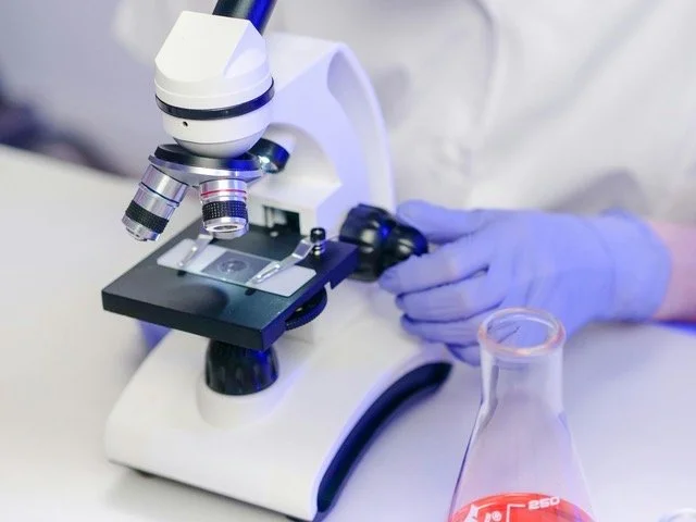 Research Award 2025 (3)