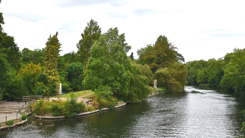 The Little Green Boat Company