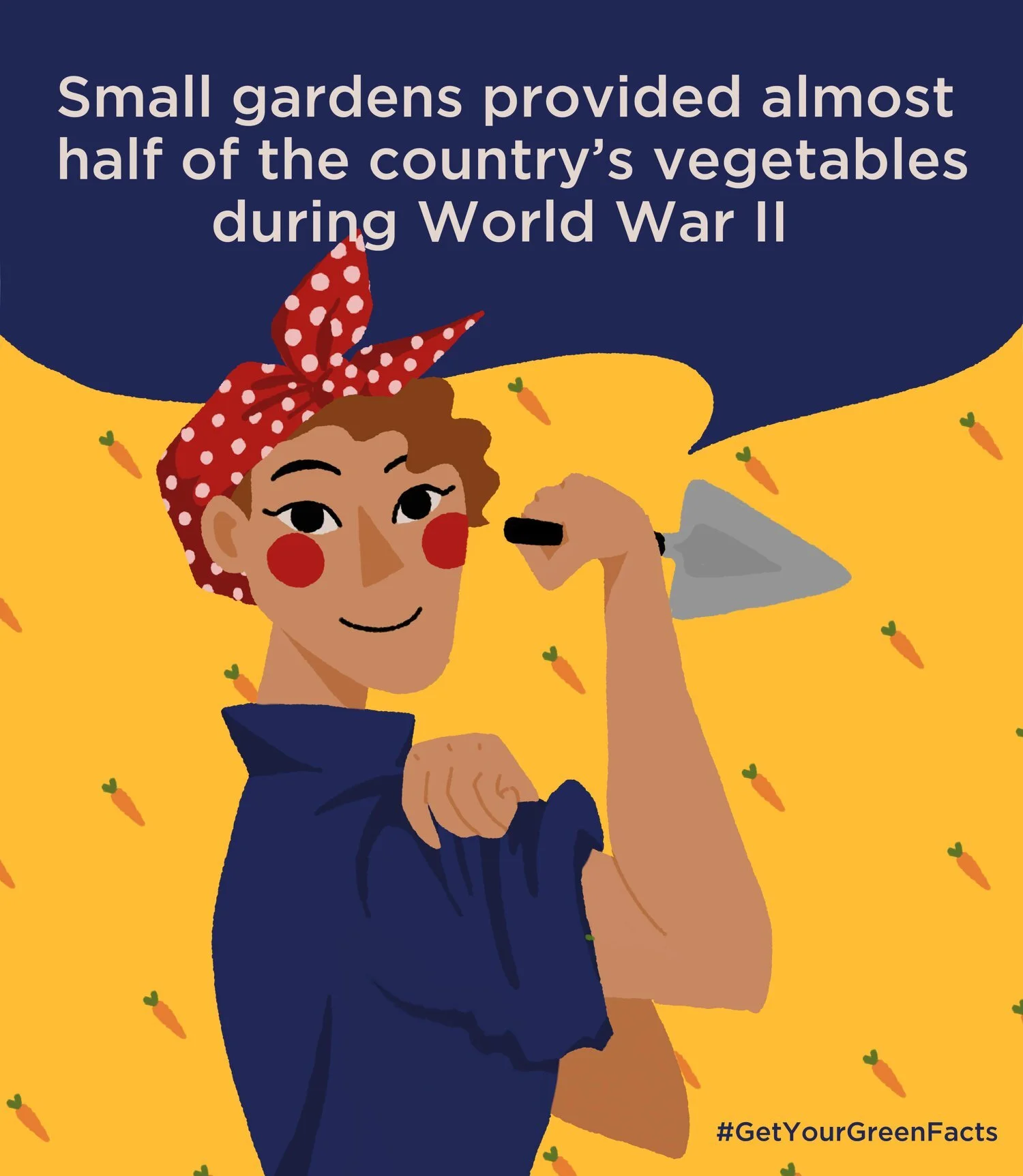 rosie.jpg