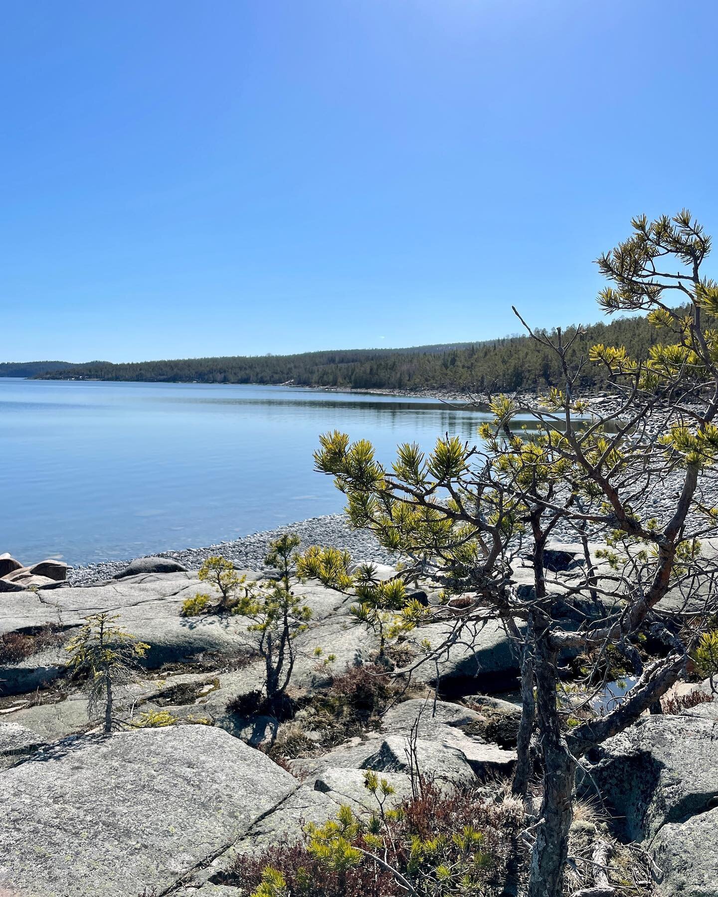 Blev bjuden p&aring; lunchutflykt till R&ouml;dh&auml;llorna idag av @korpensboplats 💙💚 Mitt f&ouml;rsta bes&ouml;k d&auml;r. Och vad h&auml;nde med vintern?! Pl&ouml;tsligt &auml;r den borta? ☀️