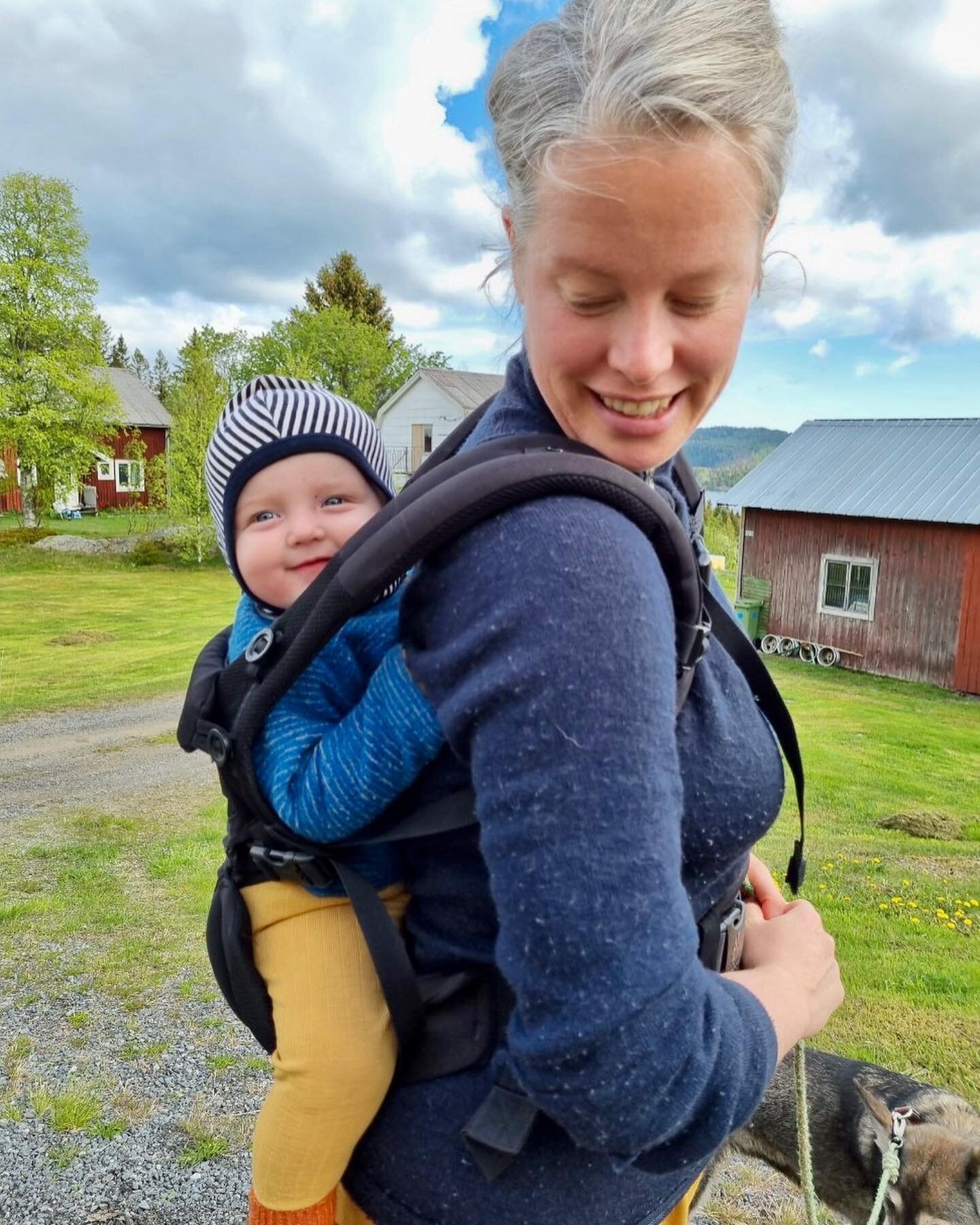 Det som h&auml;nt sedan sist! Jag har blivit mamma till en liten Signe. Det har varits upp p&aring; berg. Hallen har f&aring;tt nya tapeter. Det har varit en massa vinter, det har blommat i tr&auml;dg&aring;rden, och vi har tagit bort v&aring;r hund.