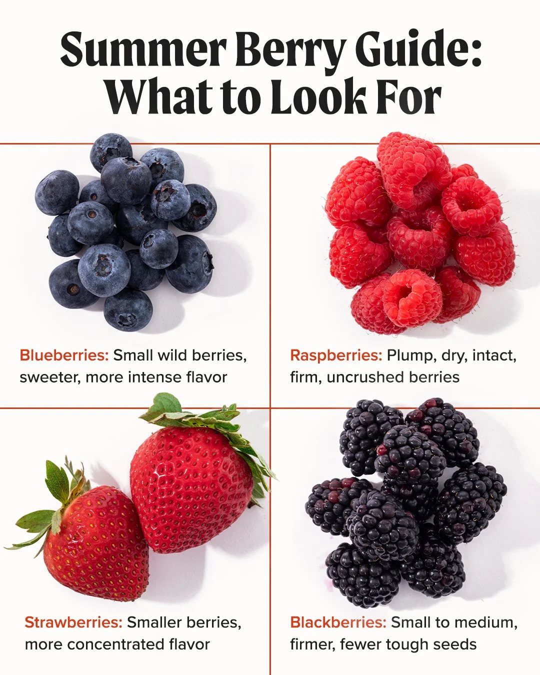 Summer Berry Guide.jpg