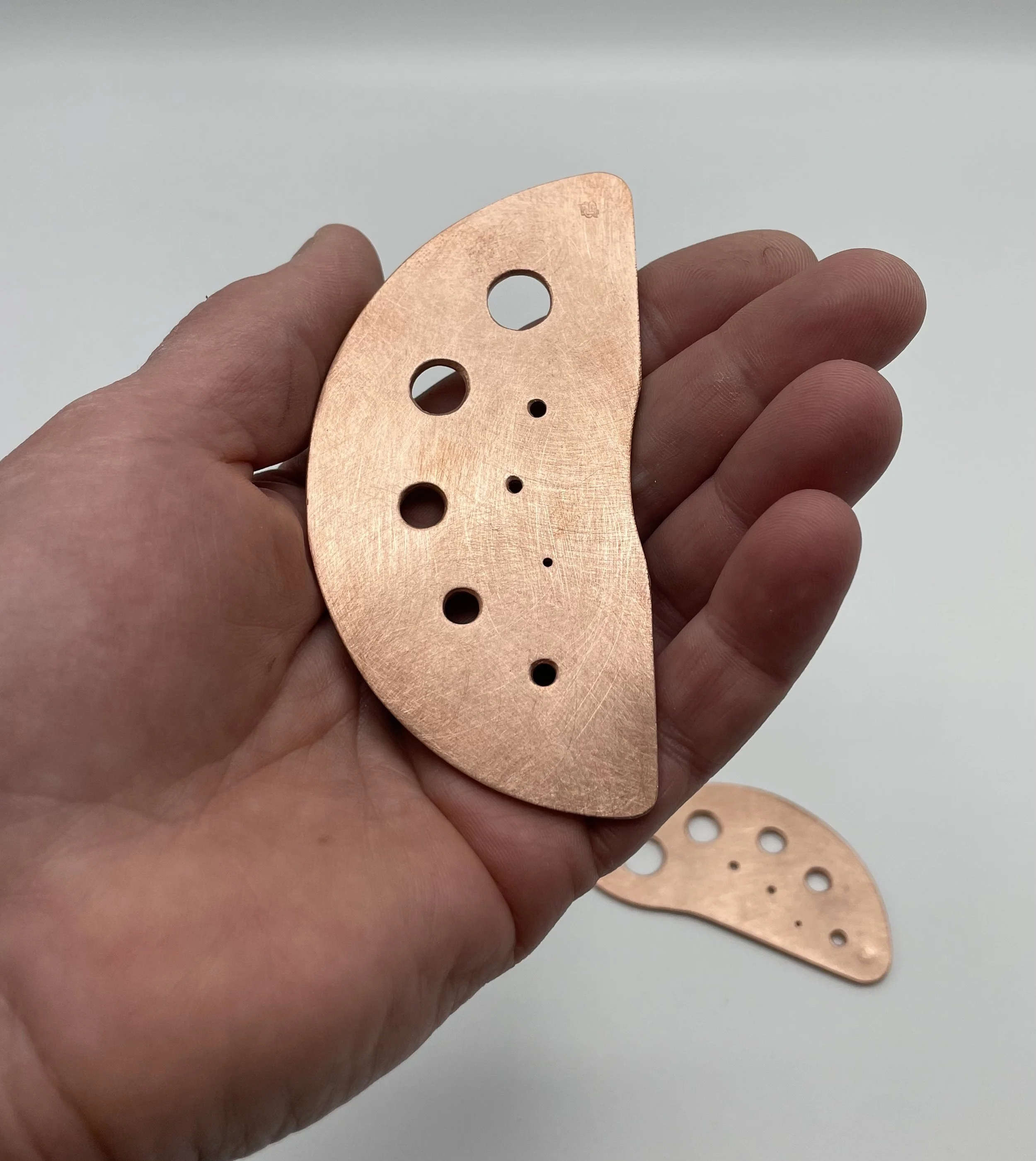 herbstrippers detail.jpg