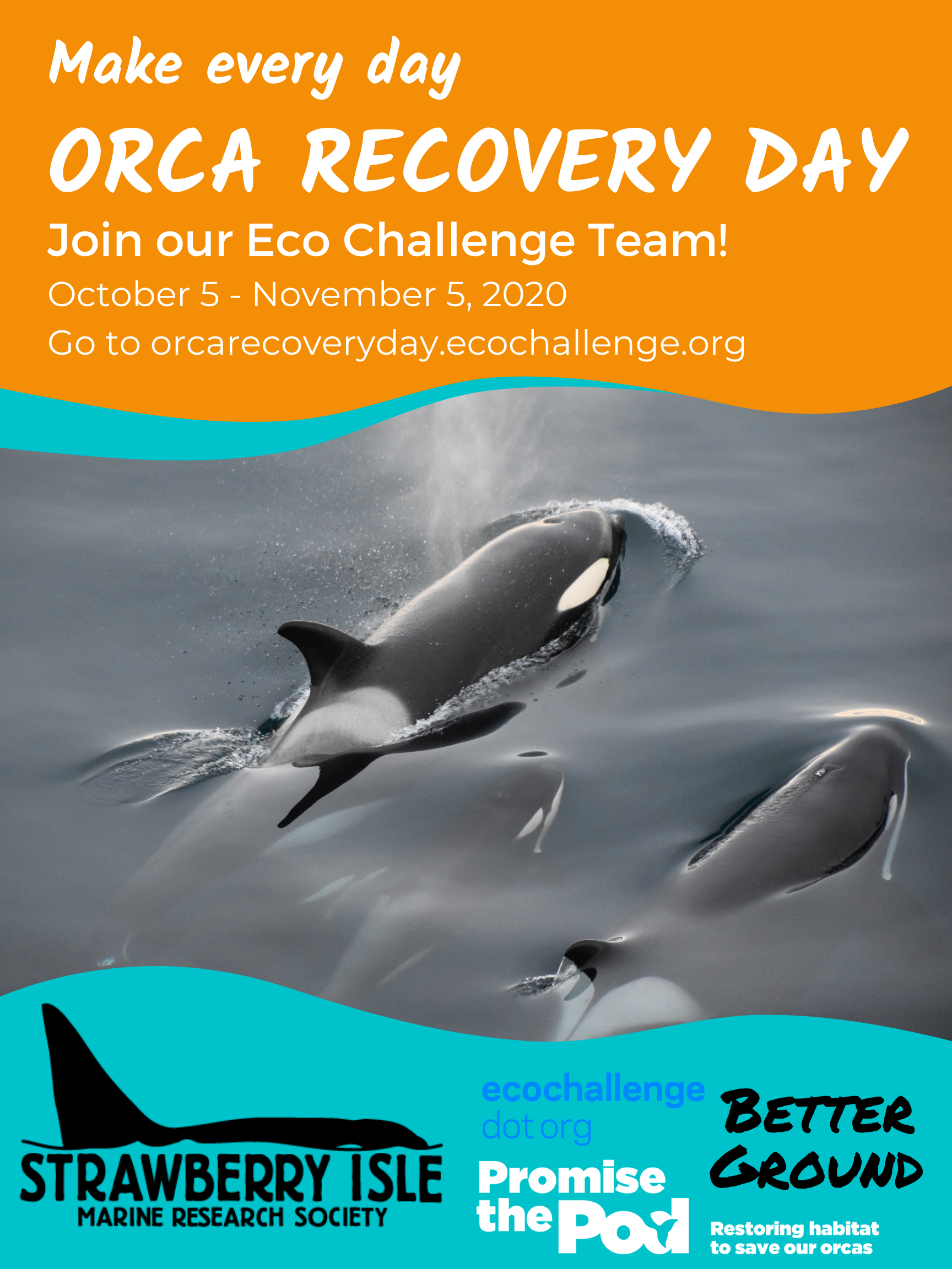 Orca Recovery Day - Eco Challenge!