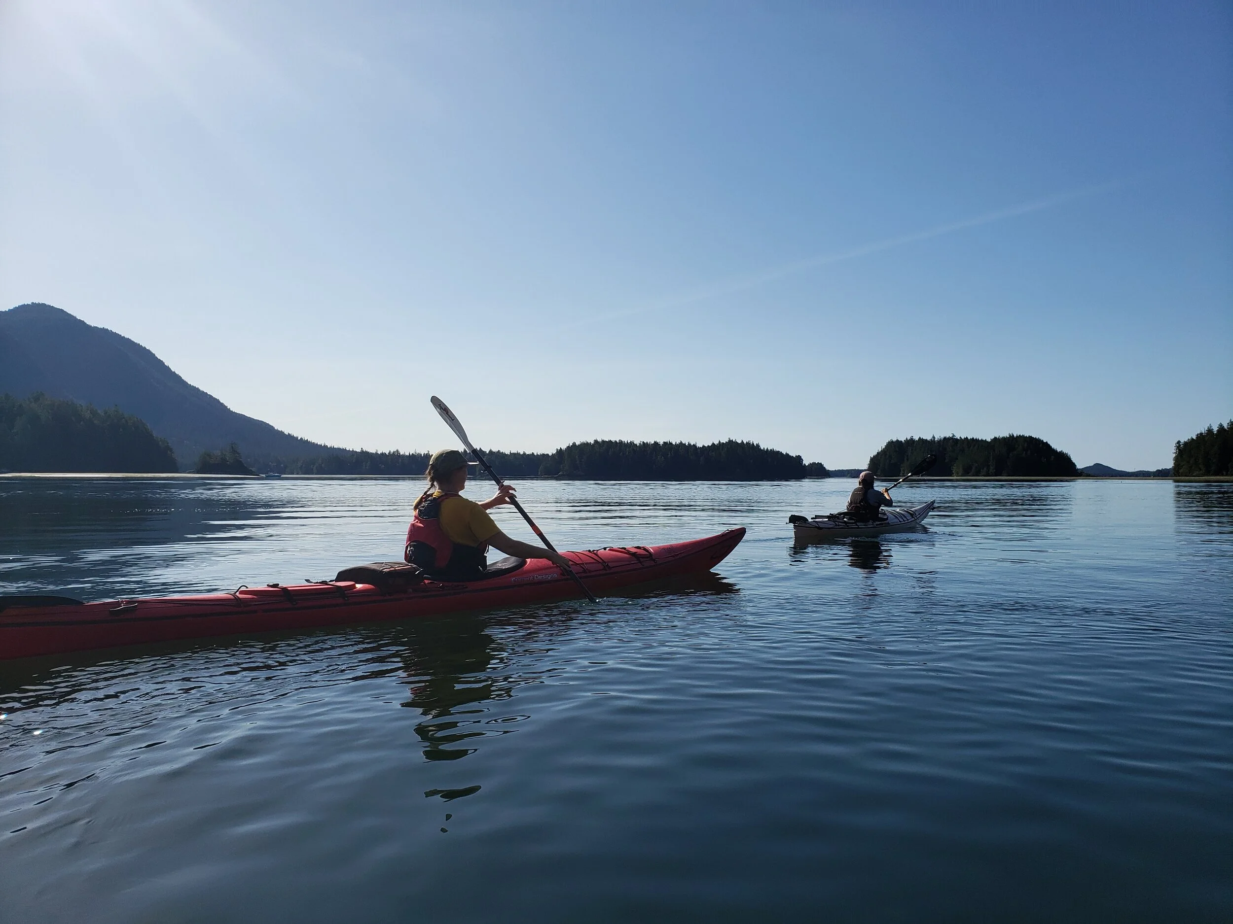 Citizen-Science Kayak Tours!