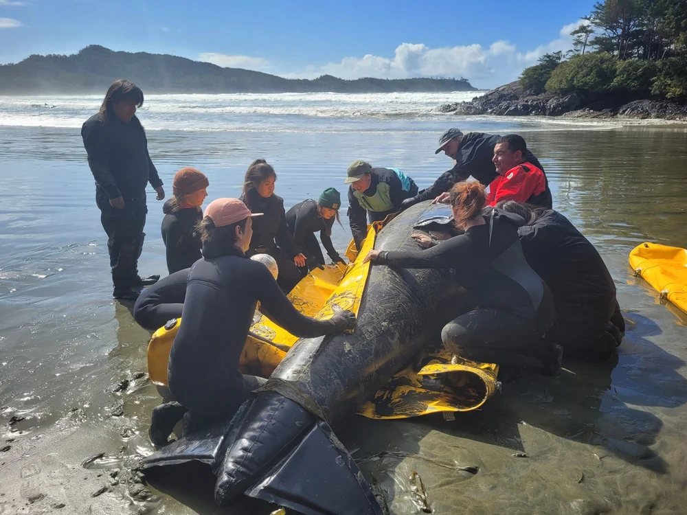 NORA O'MALLEY-20220330_125937-01.jpeg