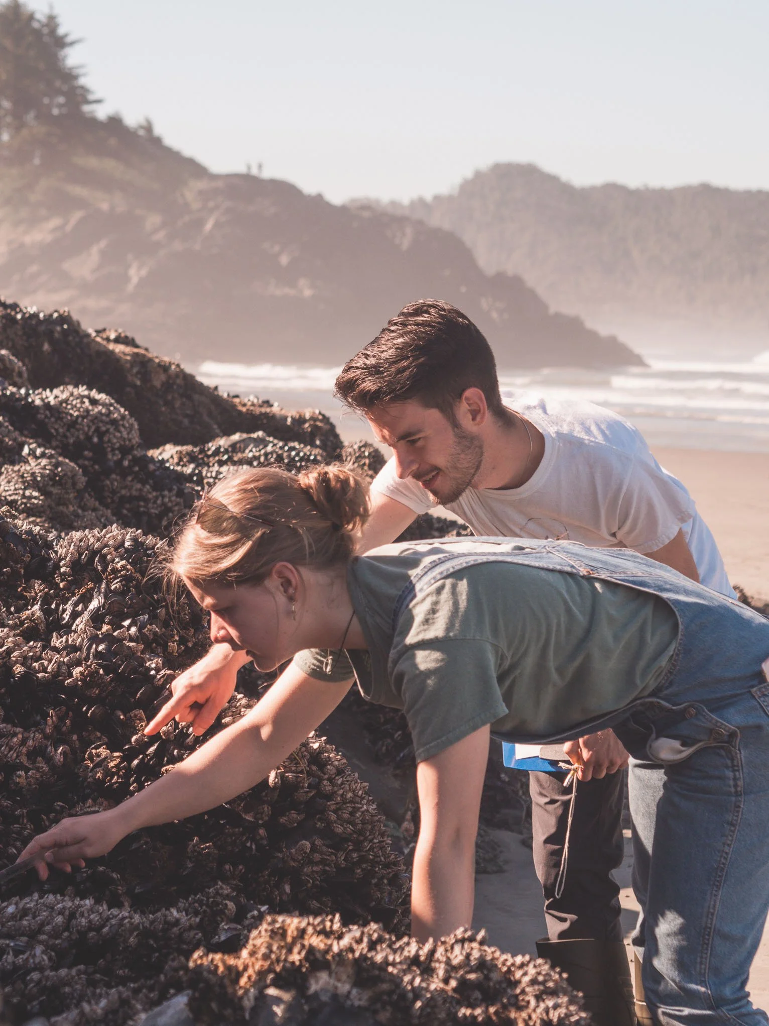 July Sea Star Surveys